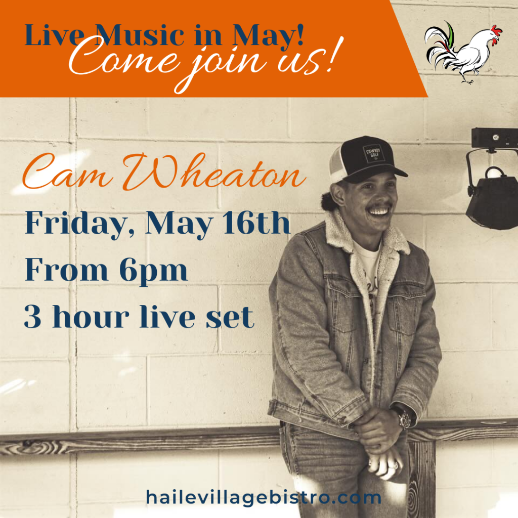 Cam Wheaton live at Haile Village Bistro in Gainesville Florida